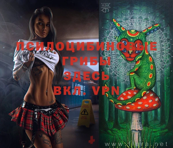 не бодяженный Тобольск