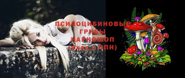 мяу мяу мука Тихвин