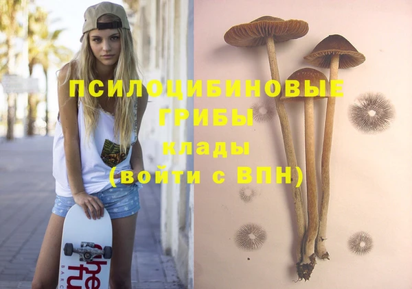 спиды Вязьма