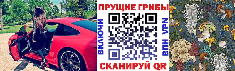 Псилоцибиновые грибы мицелий Канаш